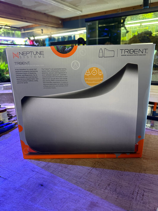 Trident, Neptune systems